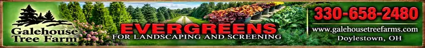 Featured sponsors