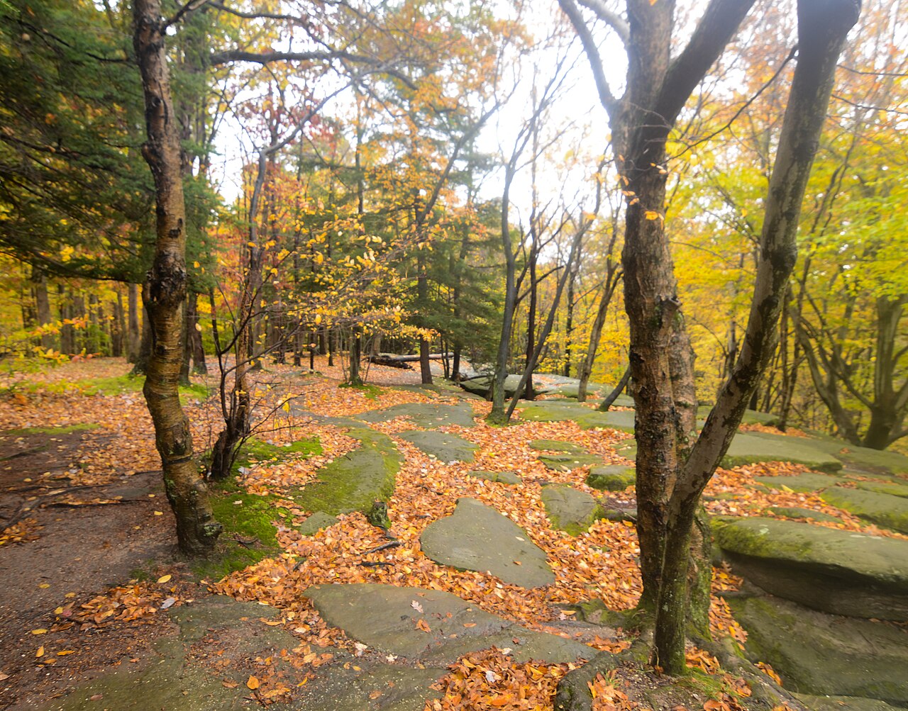 Cuyahoga Valley National Park (14968185294)