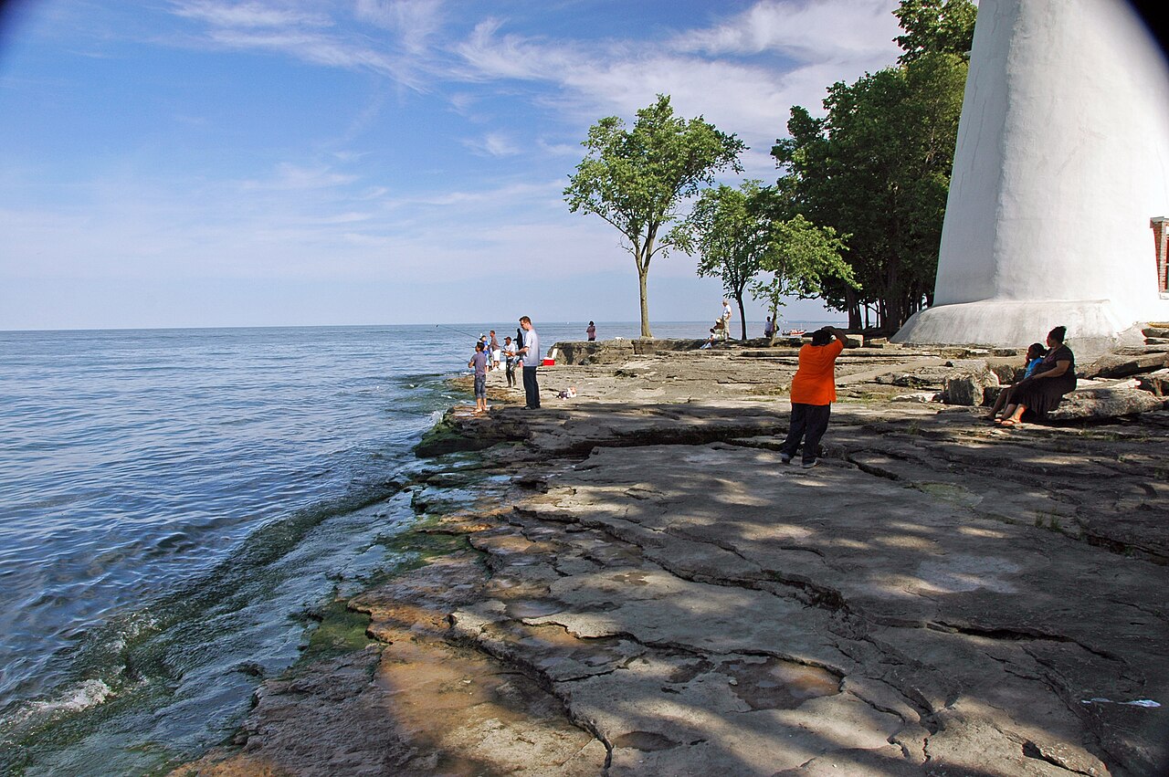 Fossiliferous limestones (Marblehead Member, Columbus Limestone, Middle Devonian; lakehore outcrop near Marblehead Lighthouse, Ottawa County, Ohio, USA) 3 (48401296487)