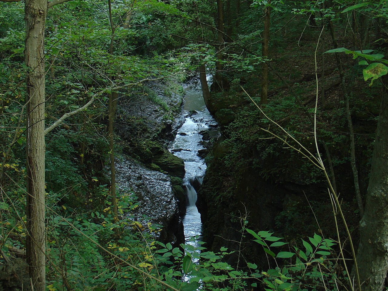 Little Miami River through Clifton Gorge