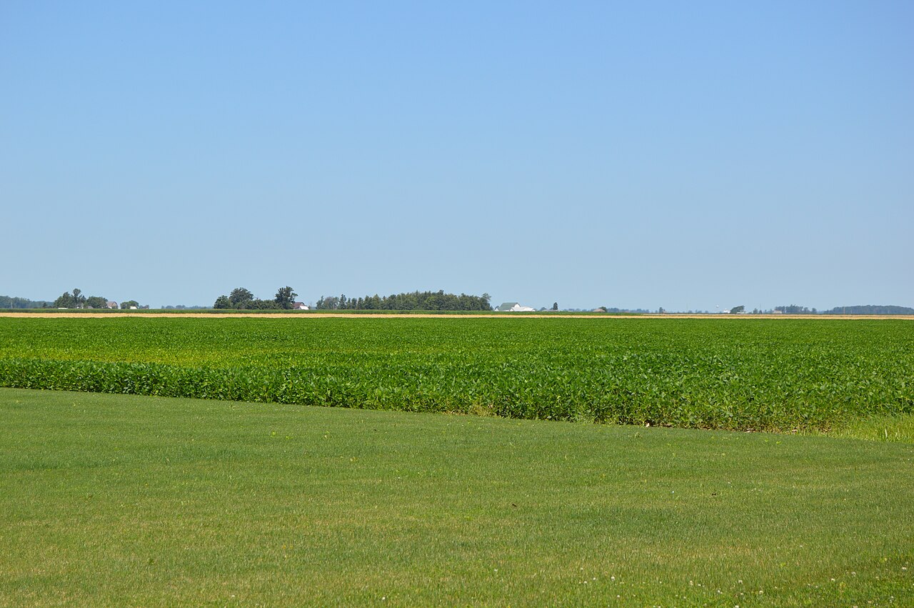 Richfield Township soybean field.jpg